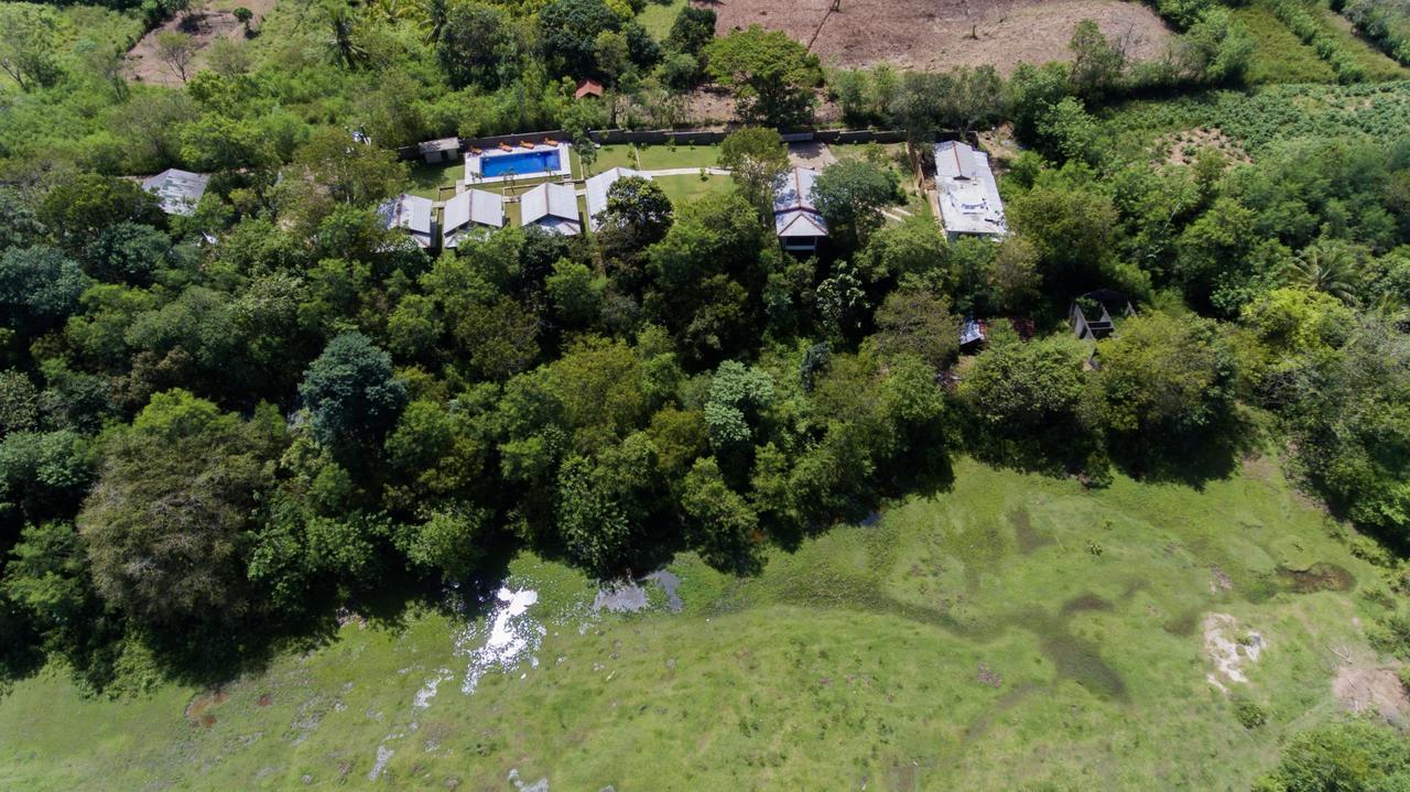 Jungle Paradise Udawalawe Ngoại thất bức ảnh