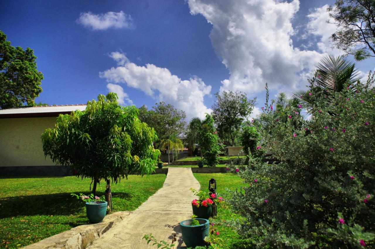 Jungle Paradise Udawalawe Ngoại thất bức ảnh